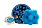 Load image into Gallery viewer, Giant Microbes
