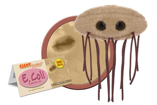 Giant Microbes