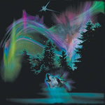 Load image into Gallery viewer, Light Show Adult T-Shirt
