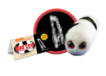 Giant Microbes