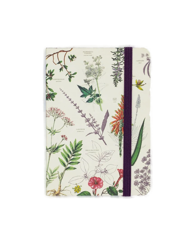 Medicinal Botany Softcover - Dot Grid Notebook