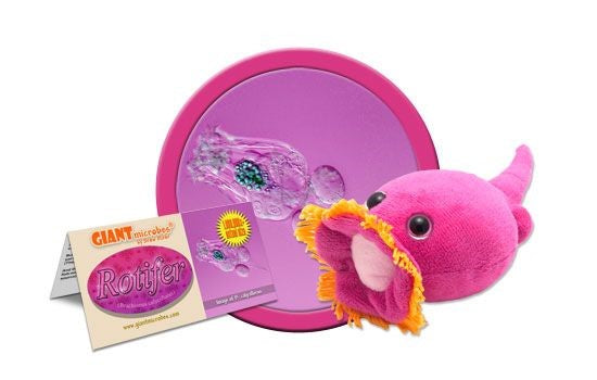 Giant Microbes