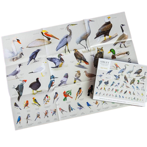 Sibley Backyard Birding Puzzle 1000pcs