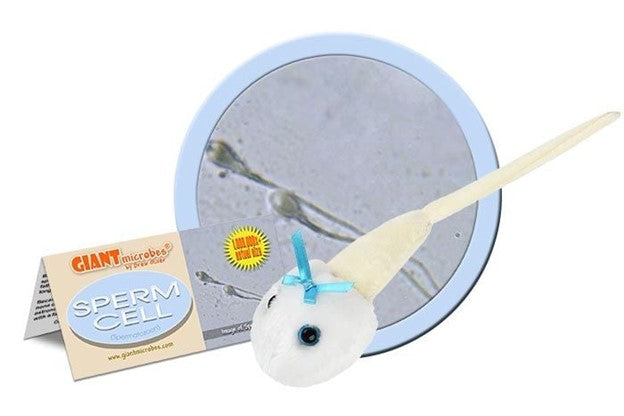 Giant Microbes