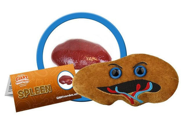 Giant Microbes