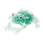 Load image into Gallery viewer, Squish the Frog
