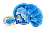Load image into Gallery viewer, Giant Microbes
